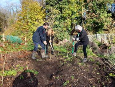 Tree planting 